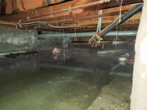 Best Water damage restoration experts  in Luther, OK