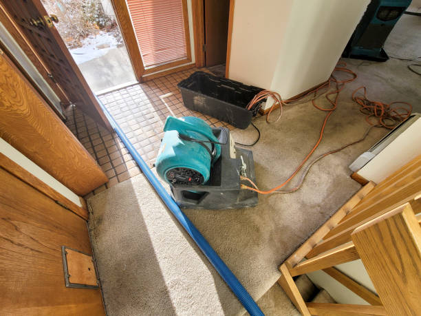 Best Residential water damage restoration  in Luther, OK
