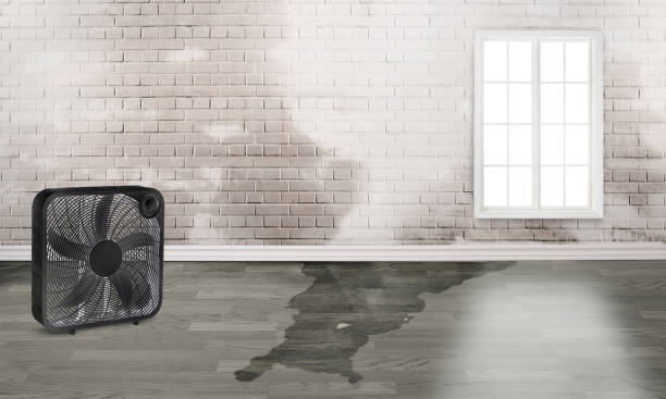 Best Commercial water damage restoration  in Luther, OK