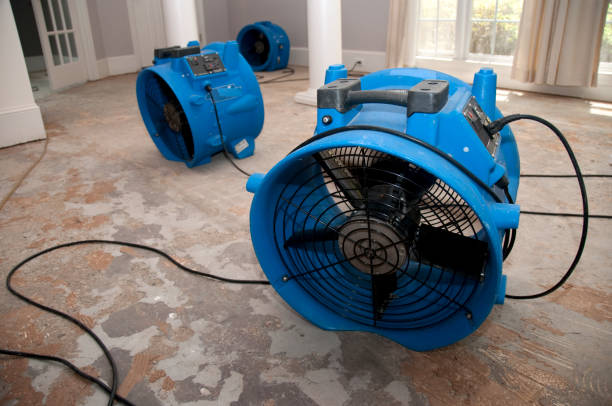 Best Ceiling water damage repair  in Luther, OK