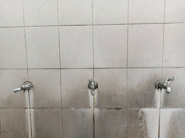 Best Basement water damage restoration  in Luther, OK