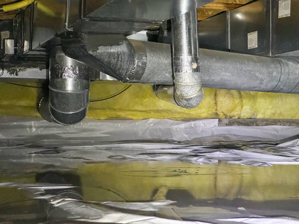 Best Water damage contractors near me  in Luther, OK
