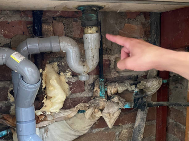 Best Carpet water damage restoration  in Luther, OK