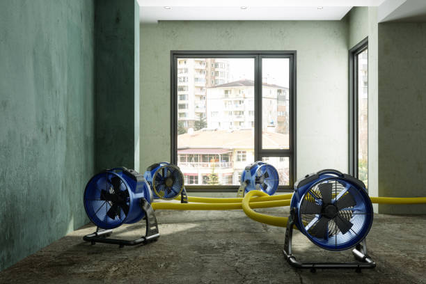 Best Water damage cleanup near me  in Luther, OK